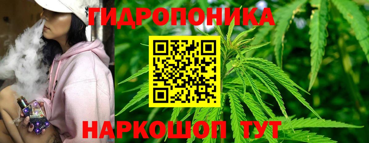 Канабис семена  Вход с VPN  Юрга  Каннабис индика 
